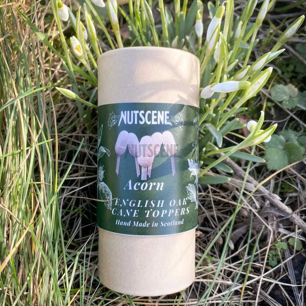 Garden Cane Caps - Pack of 5